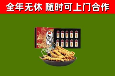 江山回收冬虫夏草价格